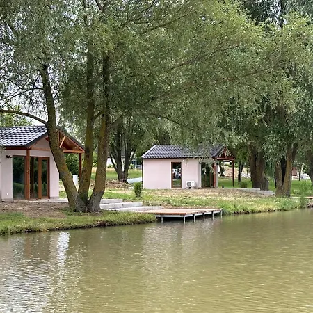Bene- Hegyi *