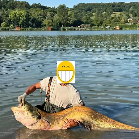 Lägenhet Bene- Hegyi