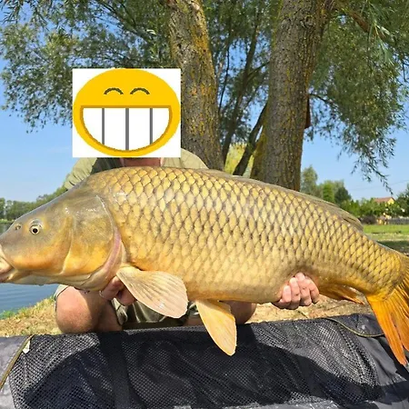 Bene- Hegyi Lägenhet Csepreg