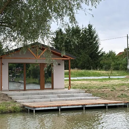 Bene- Hegyi