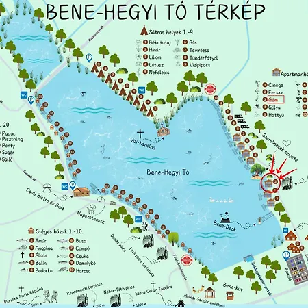 Bene- Hegyi *