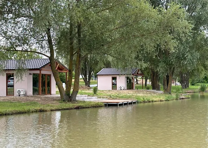 Bene- Hegyi *