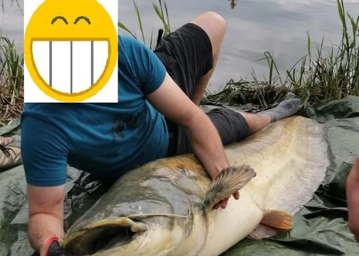 Lägenhet Bene- Hegyi Csepreg
