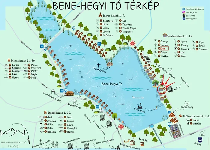 Bene- Hegyi *